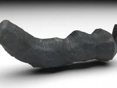 Dunkleosteus Tooth 3D model