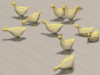 Chicken Ranch - Rooster and 9 Posed Hens - White  -  3D model