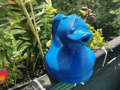 ducky watering can 3D print model