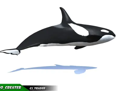 Low-Poly Killer Whale Rigged Animated 3D model Low-poly 3D model