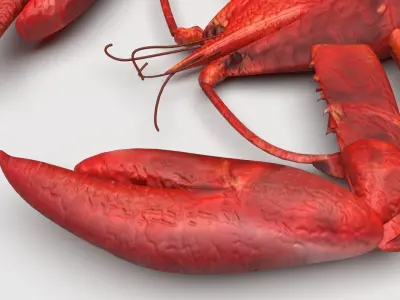 Lobster 3D model