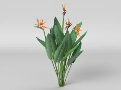 Bird of Paradise 3D model