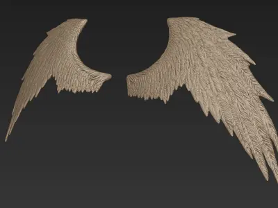 Wings 3 Zbrush Sculpt 3D model