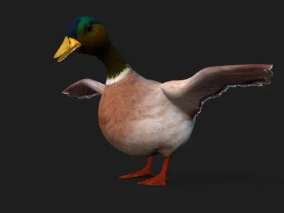 Duck A3 3D model