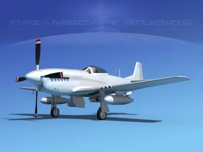 P-51D Mustang Bare Metal 3D model