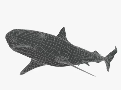 Tiger Shark Low-poly 3D model