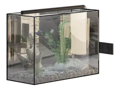 Fish Gourami Aquarium 70x30 3D model