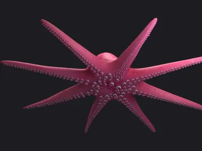 Octopus Cartoon fish underwater water nature sea ocean 3D model