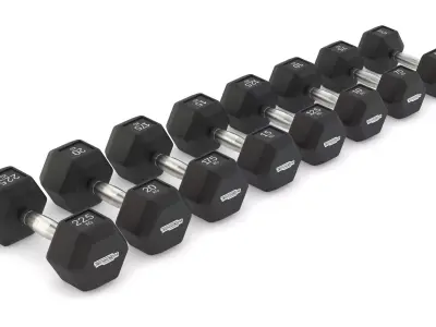 Technogym Hexagon Dumbbell 3D model