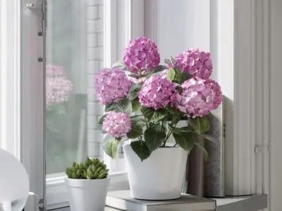  Small Mophead Hydrangea Plant Model, Pink 