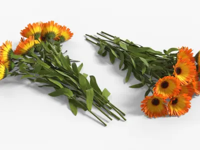Calendula Flower Bouquet Yellow Fur 3D model