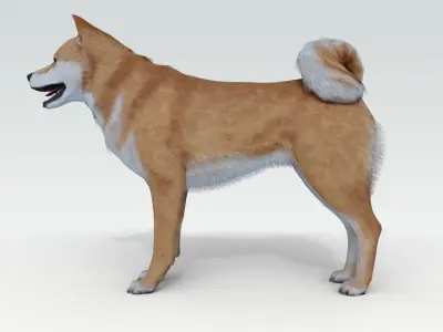 Dog Shiba Ini with Fur - Rigged Low-poly 3D model