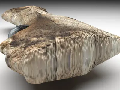 Triceratops Bone 3D model