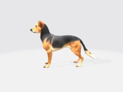 German dog 3D model