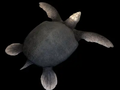 Archelon Asset Pack Low-poly 3D model