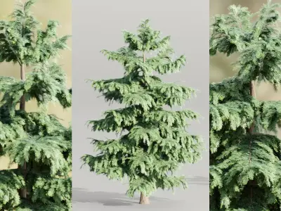 Pine trees collection vol 107 Blender Free 3D model