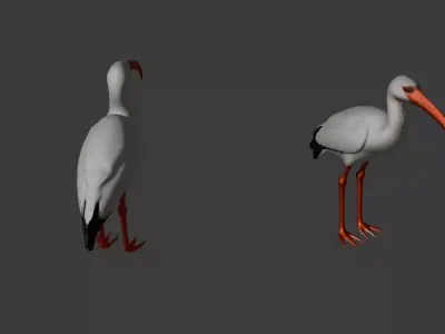 Stork Bird Free 3D model