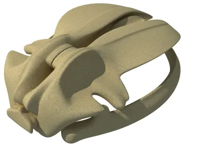 Whale Bone Skull 3D model