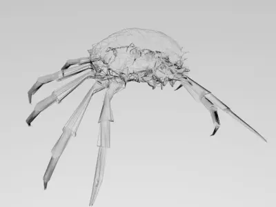 CRAB SEA Free 3D model