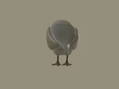 European Robin Bird 3D model