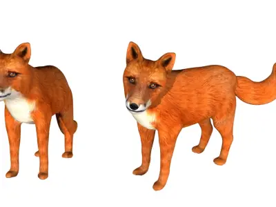 Red Fox Low-poly 3D model