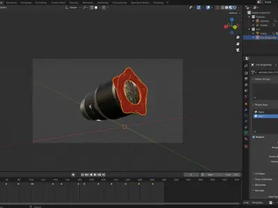 Iris with camera rigged 3D model