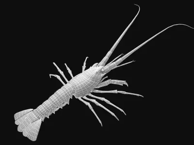 animated lobster Low-poly 3D model
