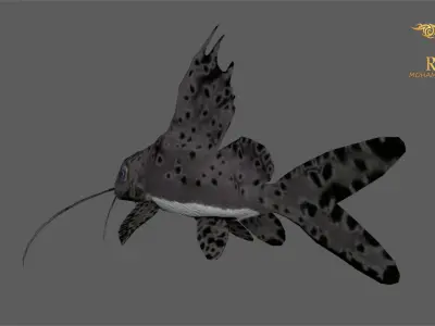 Animated Cat Fish - Loop Animation with 1160 Frames Low-poly 3D model