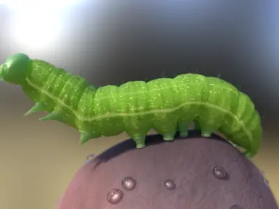 Caterpillar insect rigged 3D model