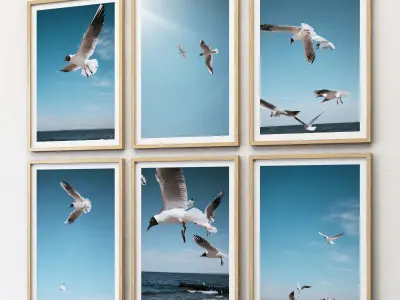 JUNIQE Seagulls Poster 3D model