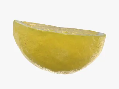 Fresh Lemon Slice 3D model