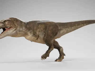Accurate - Tyrannosaurus rex RIG Low-poly 3D model