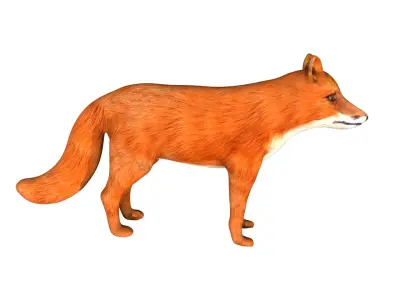 Red Fox Low-poly 3D model