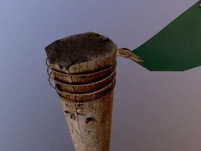 Hammock palm tree with Free low-poly 3D model