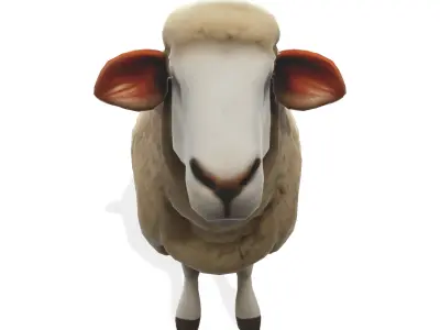 Woolly the Stylized Sheep 3D model