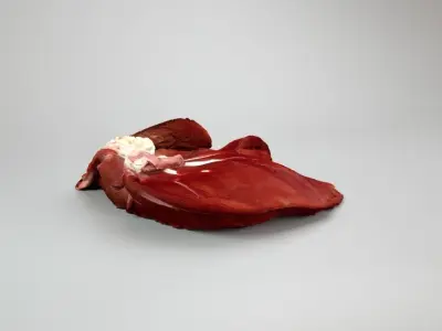 Raw Pig Liver Low-poly 3D model
