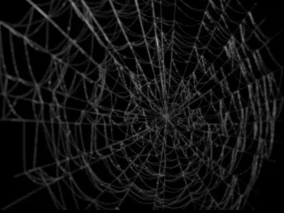 Spiderweb spider web 3D model