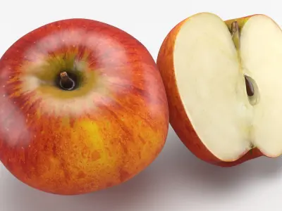 Fruit and Half Collection 2 3D model