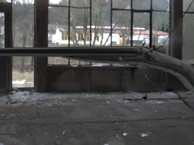 Double Shotgun Low-poly 3D model