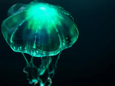 Animated Bioluminescent Jellyfish set up in Octane AND Redshift 3D model