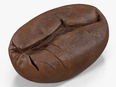 Coffee Bean Roasted 4 v 2 3D model