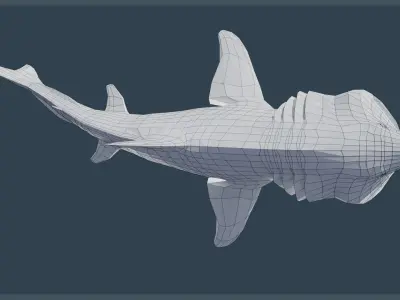 Basking Shark Low-poly 3D model