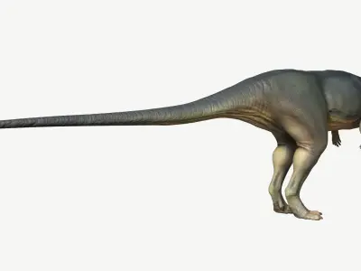 Pachycephalosaurus dinosaur Low-poly 3D model