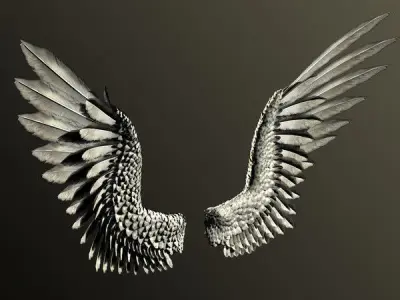 Pair of Bird  Wings 3DS Max Low-poly 3D model