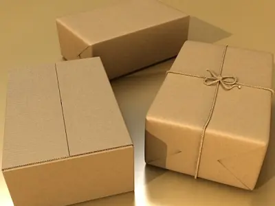 Cardboard Box Wrapped in Brown Paper - Package 3D model