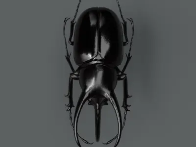 Atlas Beetle Low-poly 3D model