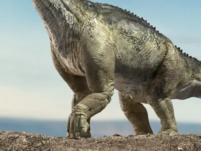 brontosaurus 3D Rigged model Low-poly 3D model