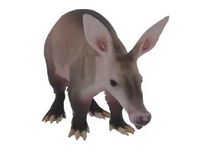 Aardvark Low-poly 3D model