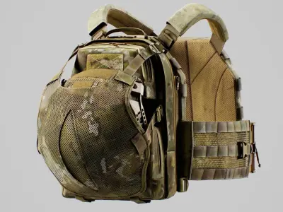 TYR Tactical PICO DSX Assaulter Plate Carrier V5 Low-poly 3D model