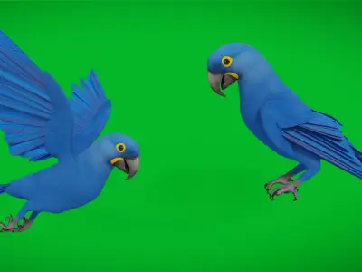 Hyacinth Macaw Parrot Low-poly 3D model